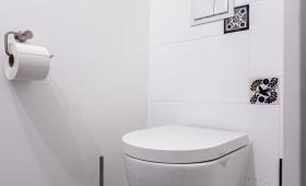 WC suspendu et faïence 