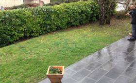 création terrasse en bois : avant les travaux