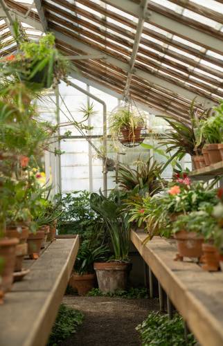 Rénovation d’une serre à Pessac