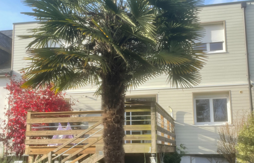 Agrandissement maison