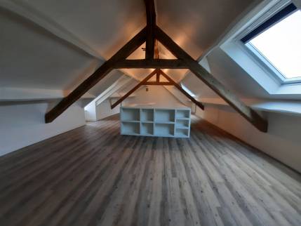 Aménagement des combles (Mathieu 14920)