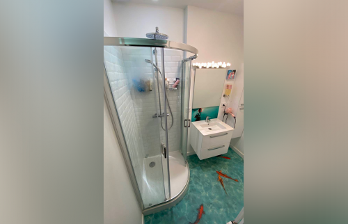 Rénovation appartement - salle de bain