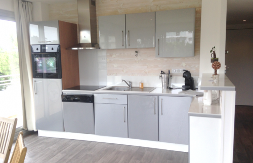 Façades en gris brillant