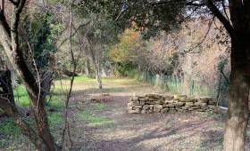 Réhabilitation jardin provençal