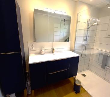 Meuble vasque et colonne assortie