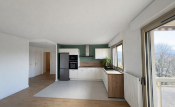 Ouverture de cuisine sur salon Tassin-La-Demi-Lune 69160