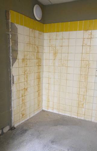 phase initiale des travaux de rénovation préparation des surfaces