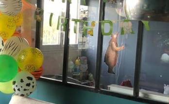 Verrière dans une chambre d'enfant à Saclay ( 91400 )