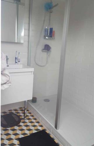 Salle de bain dans les combles Haguenau