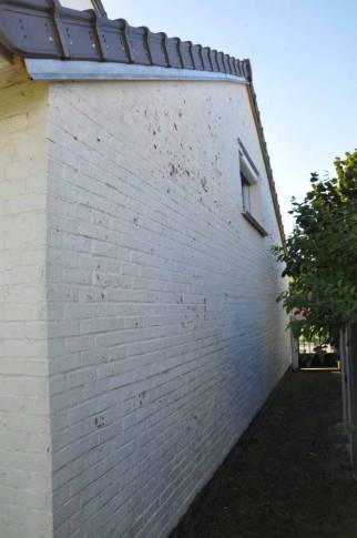 Jardin avant travaux de création d'une allée de jardin en béton et dallage - Combs-la-Ville 77380