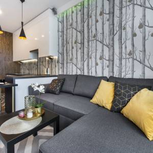 Rénovation appartement - La Maison Des Architectes - Alexandre Morel