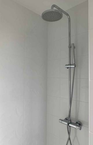 Création d'une lucarne en zinc à Vertou - douche 