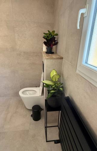 WC suspendu à Voiron