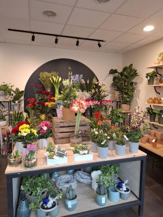 Déco d'une boutique de fleurs - Ambérieu-en-Bugey 01500