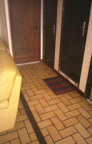 L,ancien revêtement de sol