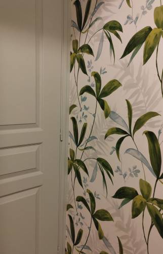 Nouvelle  peinture sur la porte des WC