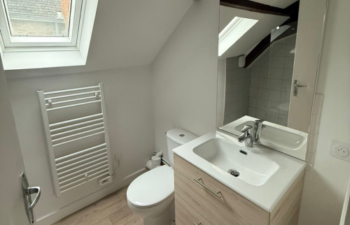 salle de douche rénovée