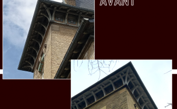 Peinture blanche sur les cache-moineaux et pose de filets + pics anti-pigeons