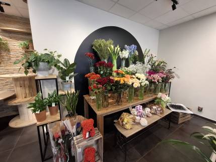 Mise en valeur des fleurs par un mur décoré dans une boutique de fleurs - Ambérieu-en-Bugey 01500