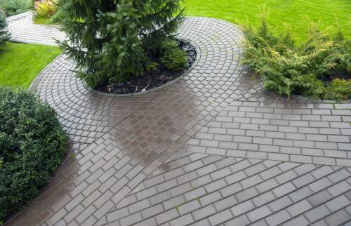 Allée de jardin 
