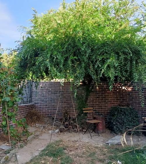 Construction d'un mur de clôture avec parement à Brest 29200