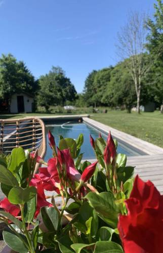 Construction d'une piscine sur mesure à La Côte-Saint-André : un espace de détente parfaitement intégré au jardin et à son environnement paysager.