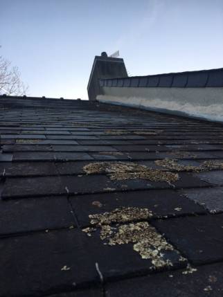 Toiture en ardoises naturelles avant rénovation - Nantes 44