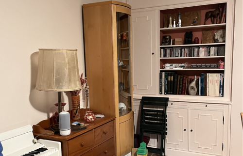 Réinventer le Confort : Rénovation de Salon à Saint-Maur-des-Fossés