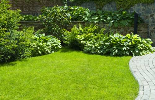 aménagement de jardin 