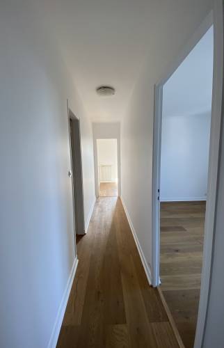 Un appartement rénové à Malakoff (92240) - le parquet