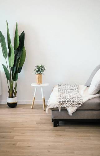 Rénovation de mur àParis