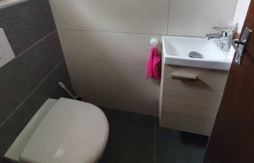 Installation des WC suspendus