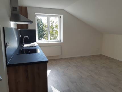 Nouvelle pièce de vie dans appartement 1 - Bourg-en-Bresse 01