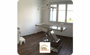 rénovation professionnelle