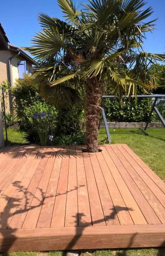 Terrasse Bois Cumaru, intégration du palmier existant