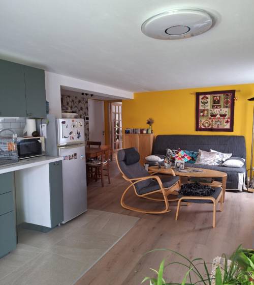 Agrandissement de maison avec aménagement d'une cuisine ouverte sur le salon - 44