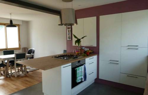 cuisine ouverte plan de travail central avec cuisinière et plaque électrique - Trilport -