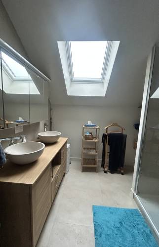rénovation vasque
