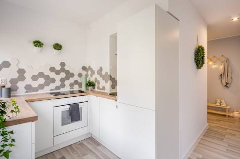 Cuisine ouverte sur le salon Fontaine-lès-Dijon 