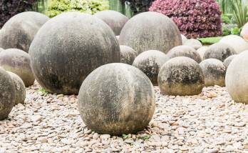 Amélioration esthétique d’un parterre paysage à Cormeray (41)