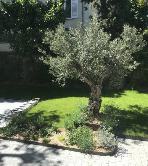 Création de plates bandes Courbevoie (92400)