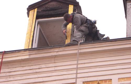 Cordiste rénovant un chien assis