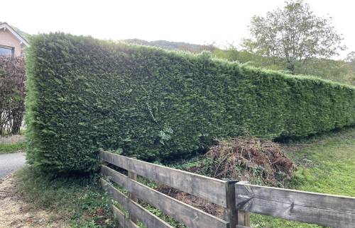 palissade avant travaux