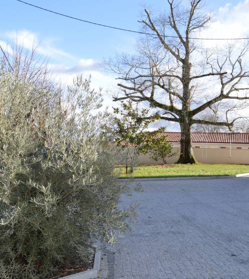  Aménagement d'une allée carrossable - Leers 59115