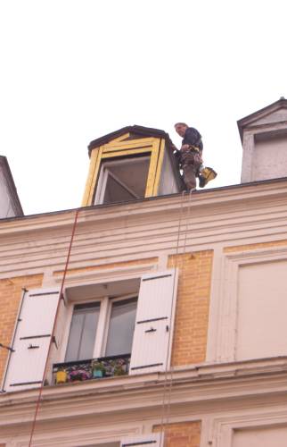 Intervention d'un cordiste sur des chiens assis