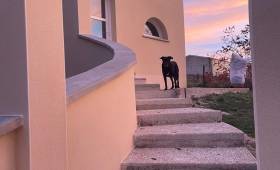 Extension de maison : faire entrer la lumière et créer un nouvel espace de vie 1