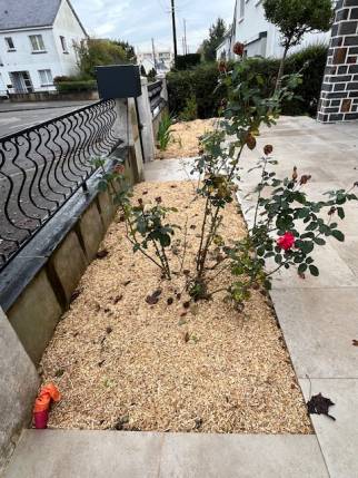 Aménagement paysager après travaux de rénovation extérieure - Nantes 44