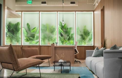 Rénovation cabinet Gentilly