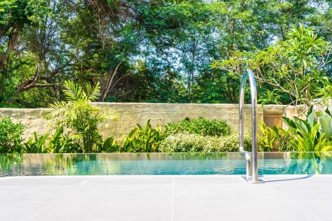 Végétalisation de bord de piscine