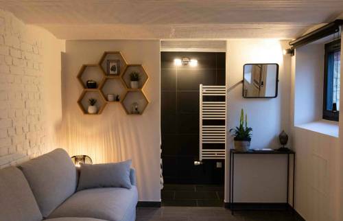 travaux souplex